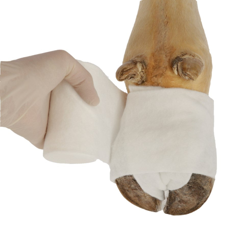 Polsterbinde CottinoStar