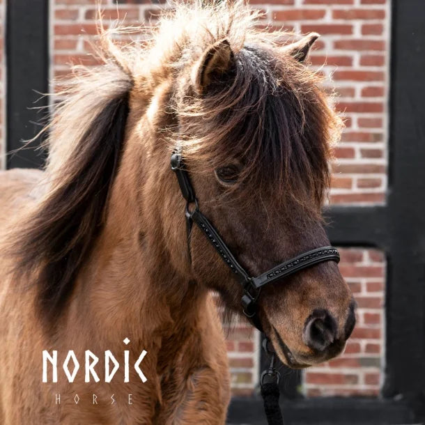 Leather halter All Black by NORDIC HORSE