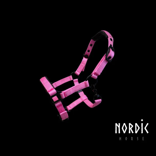 Fohlenhalfter Pink von NORDIC HORSE