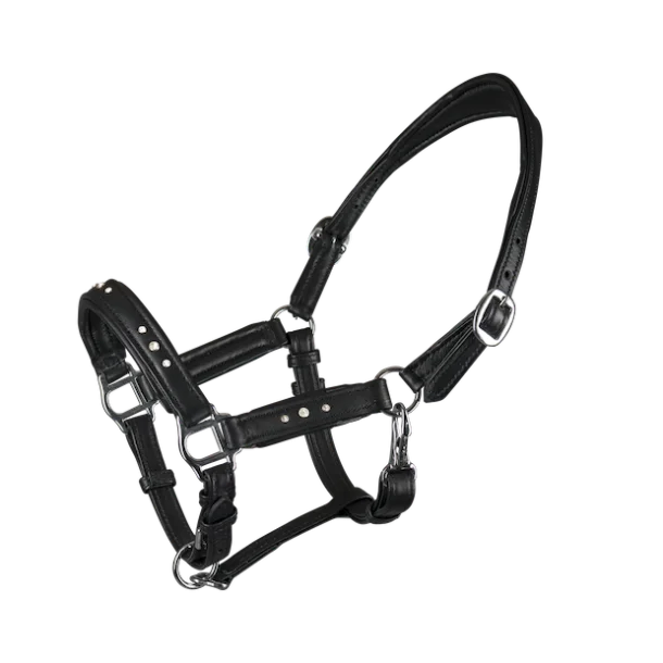 Fohlenhalfter mit weißen Steinchen von NORDIC HORSE