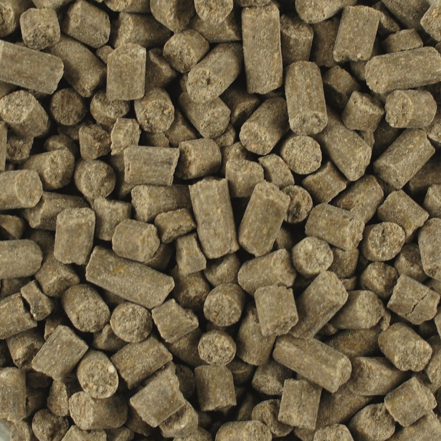 Champion-Vital Mineralfutter von ATCOM