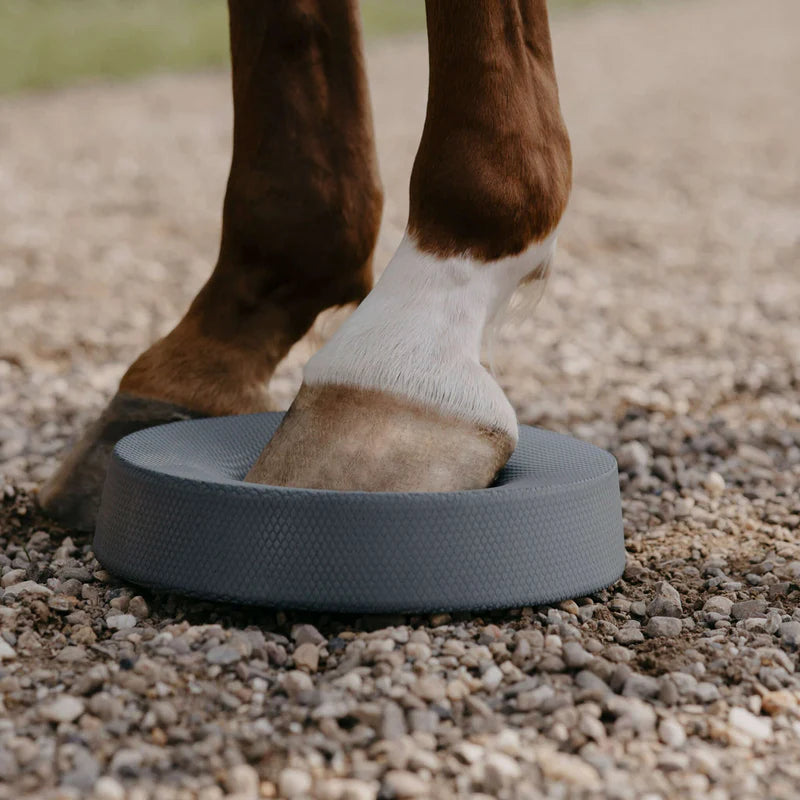 Balance Pads von NØRSHOLM EQUESTRIAN®
