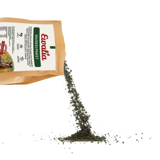 EWALIA Muskelpaket für Pferde