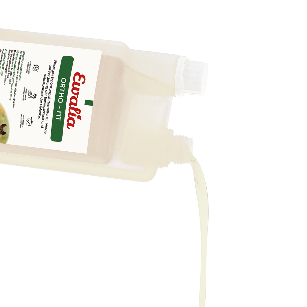 EWALIA Ortho - Fit für Pferde