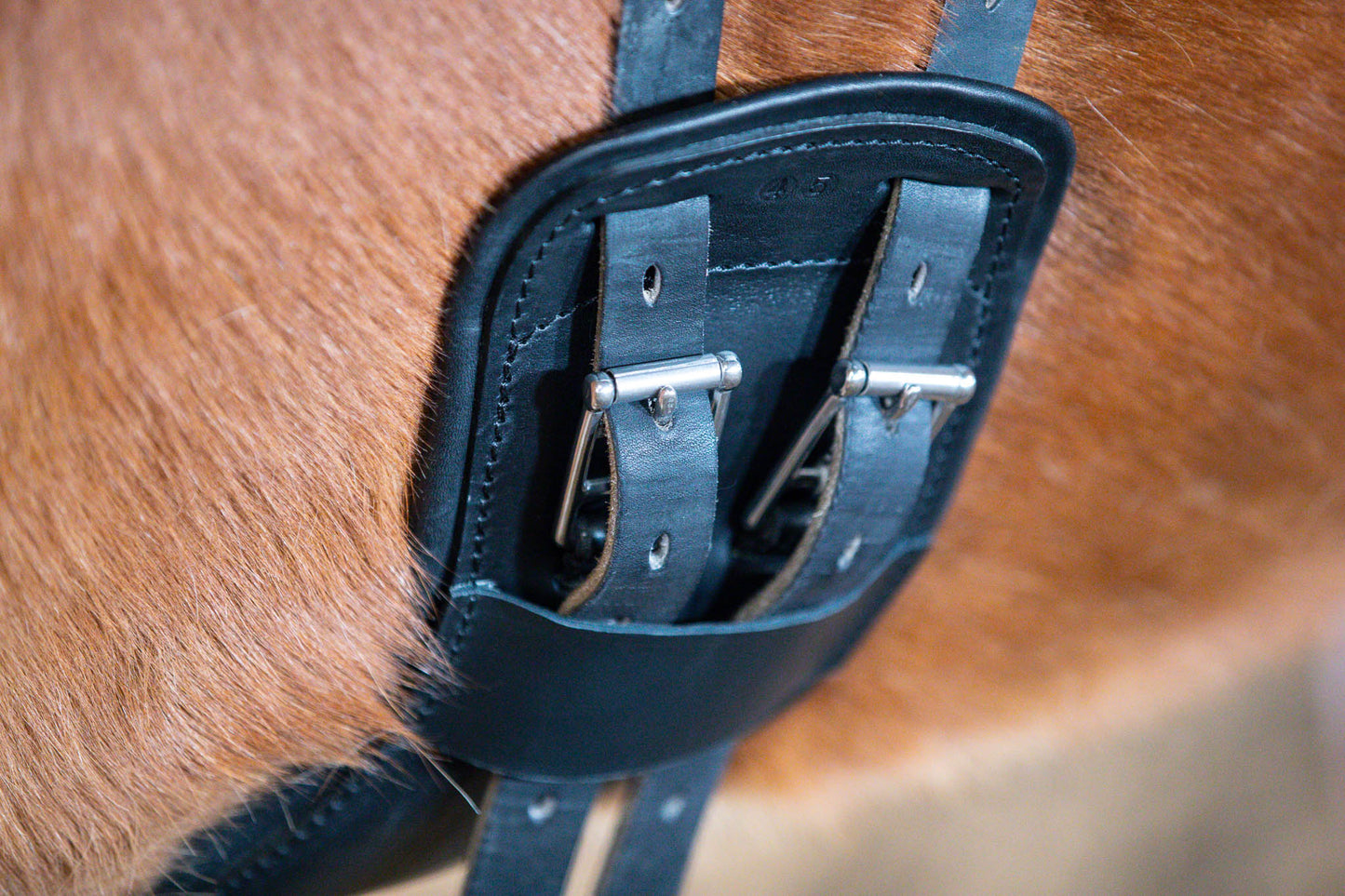 Flex Balance girth from EQUES
