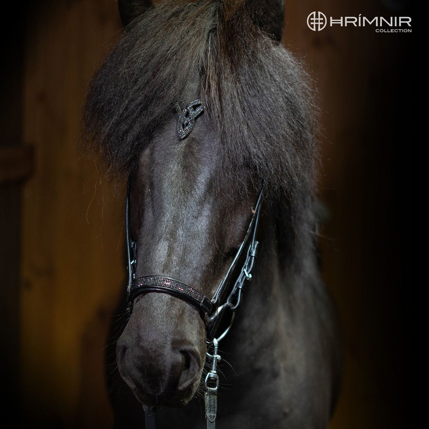 Hanoverian noseband Lava by Hrímnir