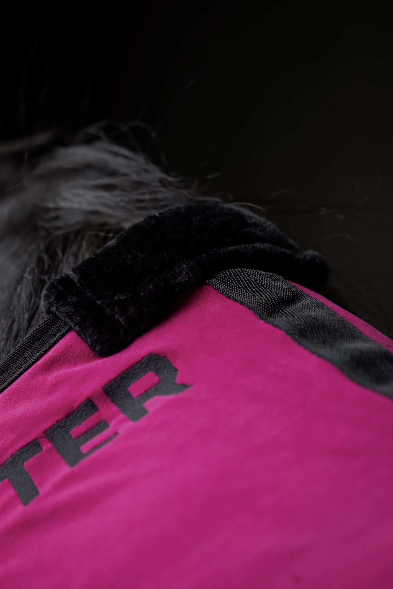 Fleeceabschwitzdecke von TOP REITER