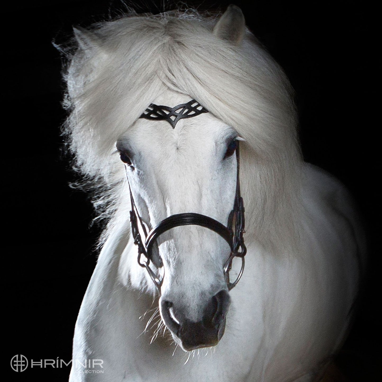 Headpiece Heritage B by Hrímnir