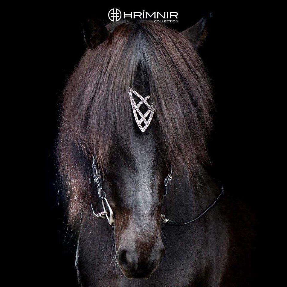 Kopfstück Heritage - Shield von Hrímnir
