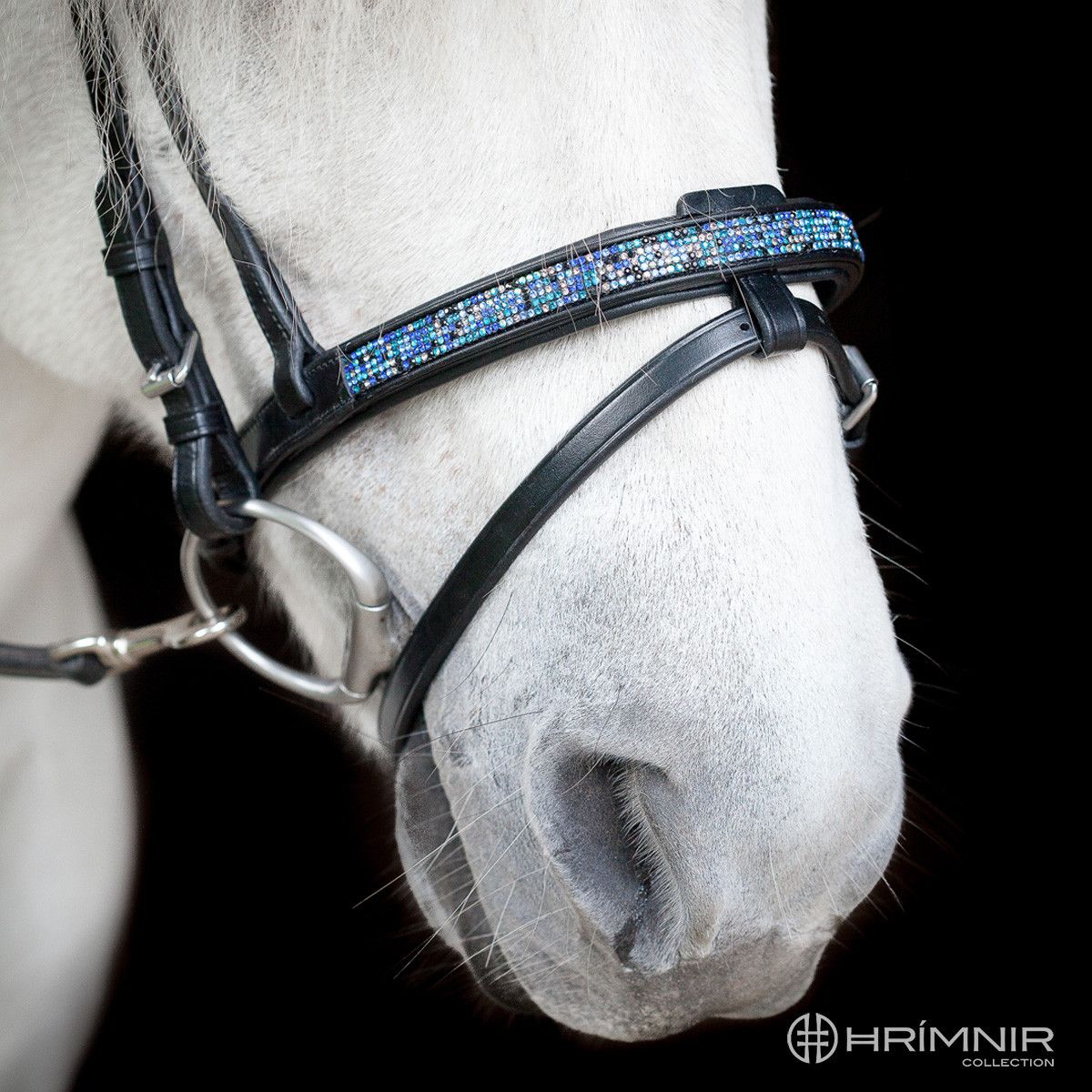 English Combined Noseband Blue Lagoon by Hrímnir