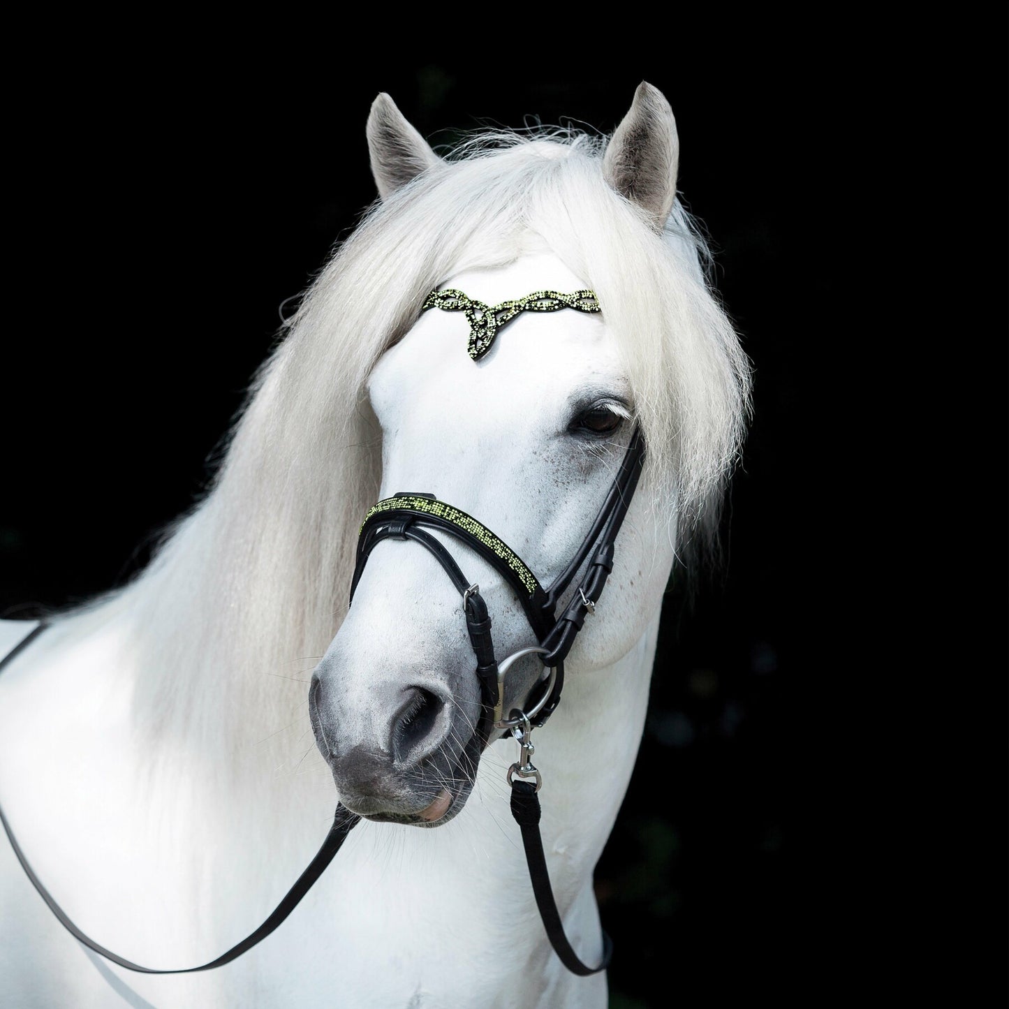 Englisch kombinierter Nasenriemen Aurora von Hrímnir (vorbestellbar)