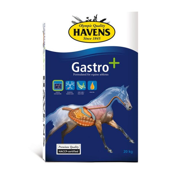 Havens Gastro+ 20 kg (Nur an Selbstabholer)