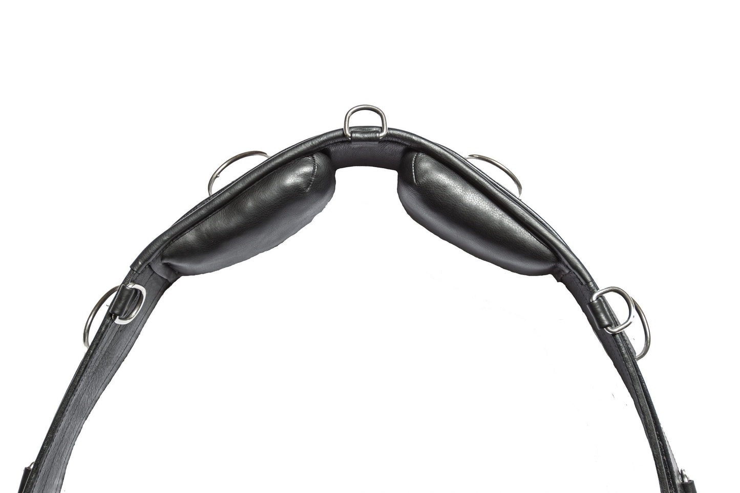 Lunging girdle from EQUES