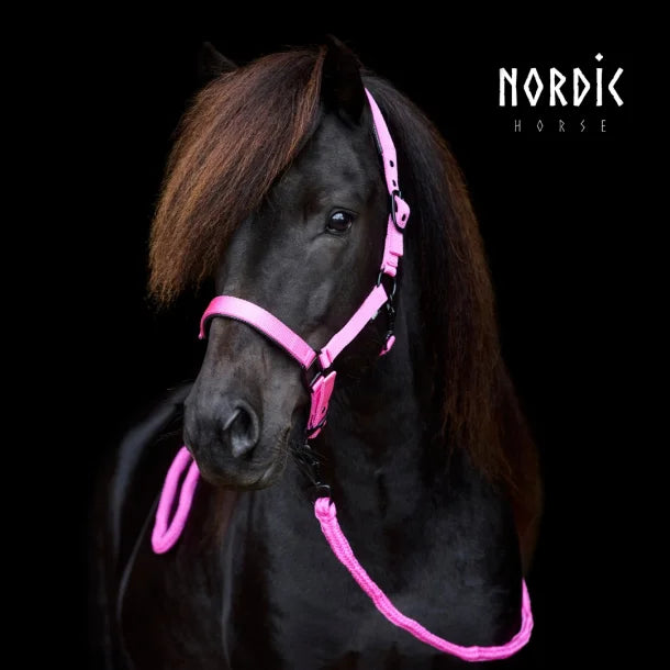 Strick pink von NORDIC HORSE