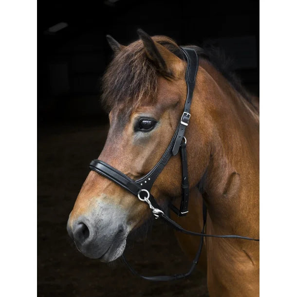 Sidepull mit Steinen von NORDIC HORSE