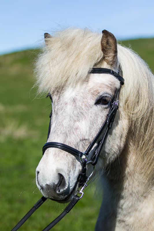V-browband for StepByStep bridle from EQUES