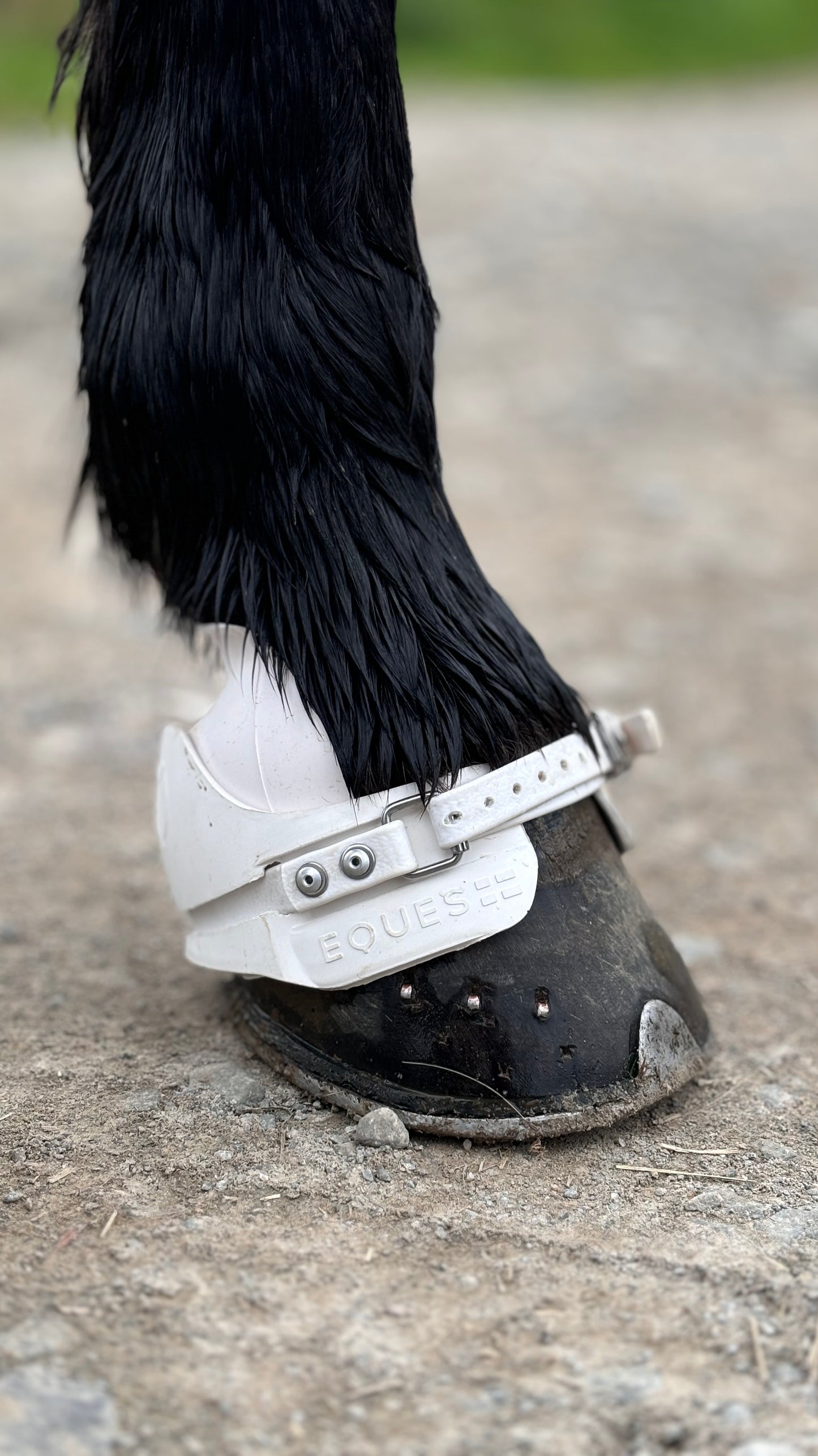 Super Boots von EQUES