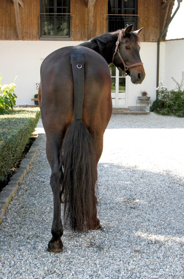 Schweifschoner von Covalliero
