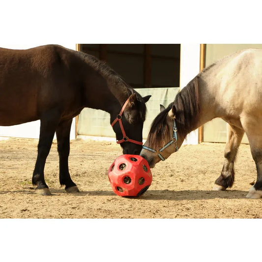 Futterspielball