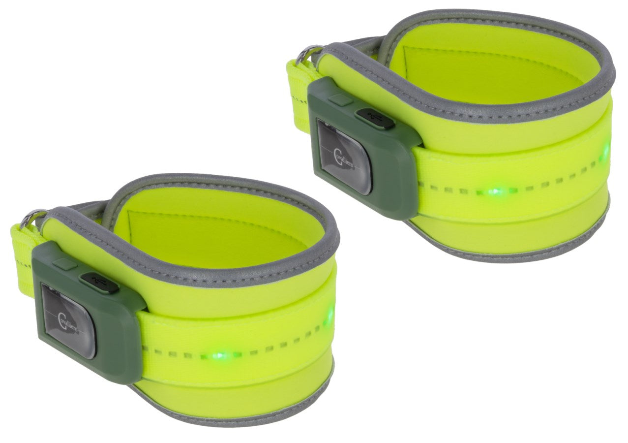 Leuchtgamasche LED