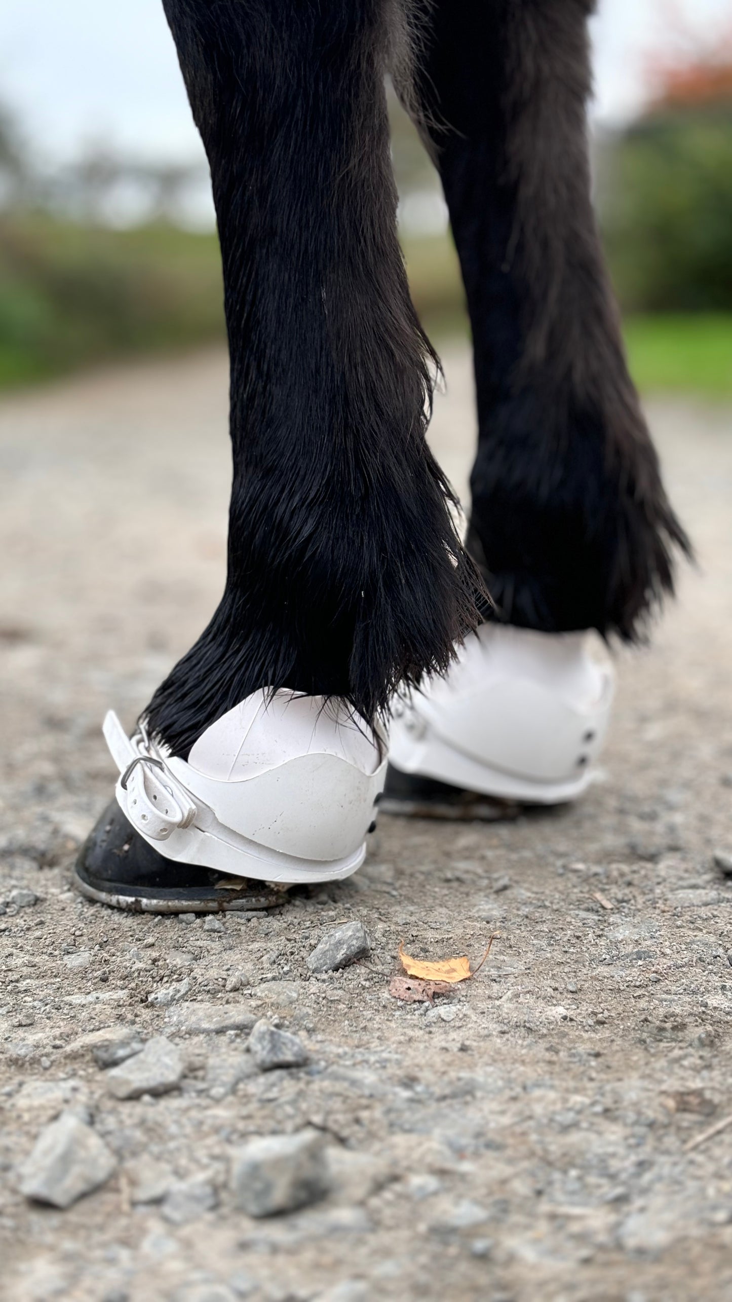 Super Boots von EQUES