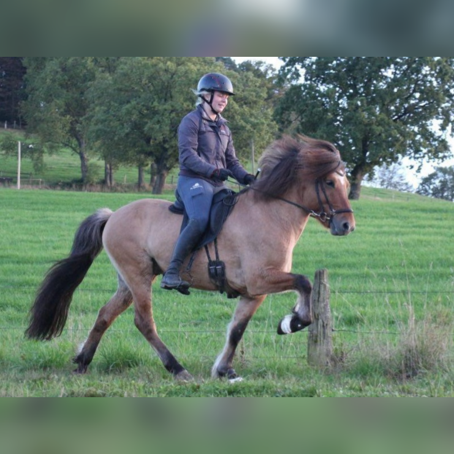 EVE Reitleggins gefüttert von ÍsKnapar