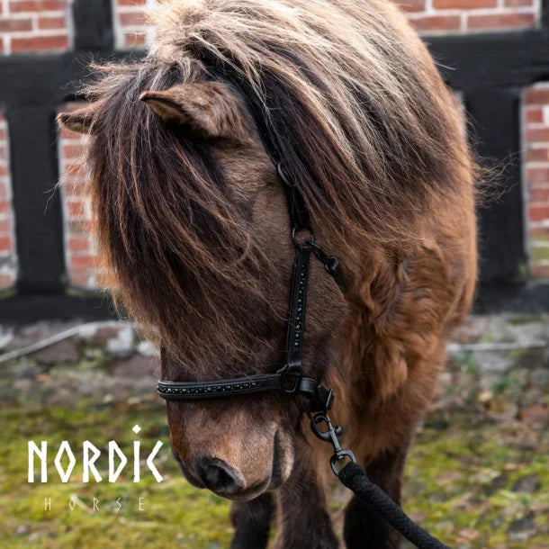 Leather halter All Black by NORDIC HORSE 
