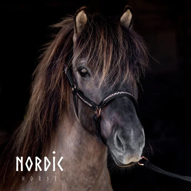Lederhalfter roségold von NORDIC HORSE
