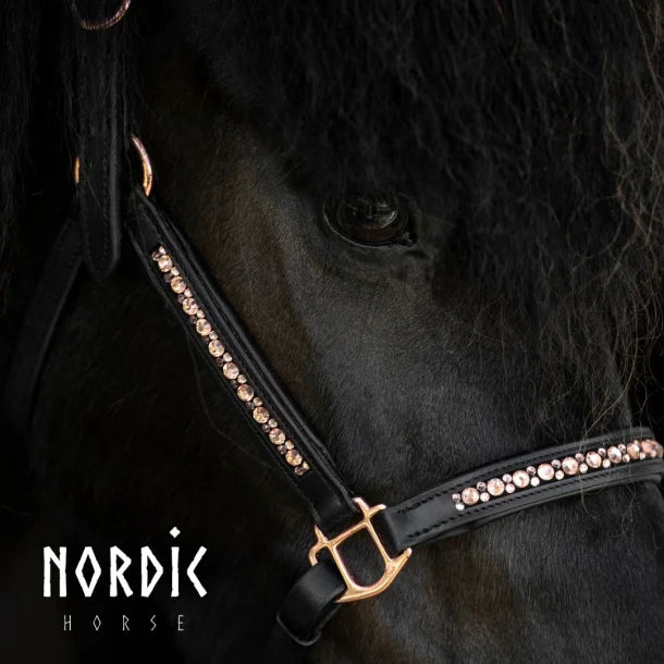 Lederhalfter roségold von NORDIC HORSE