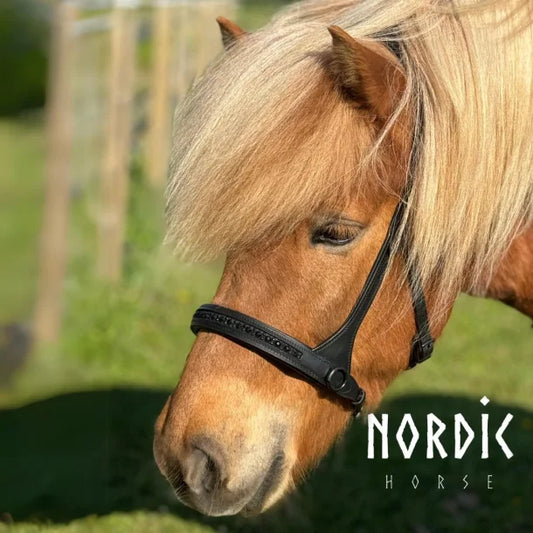 Sidepull All Black von NORDIC HORSE