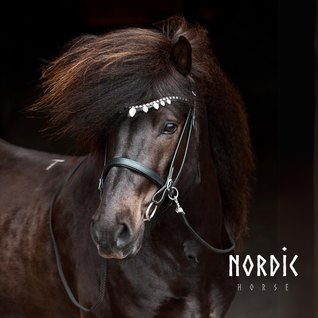 Crown-Kopfstück von NORDIC HORSE