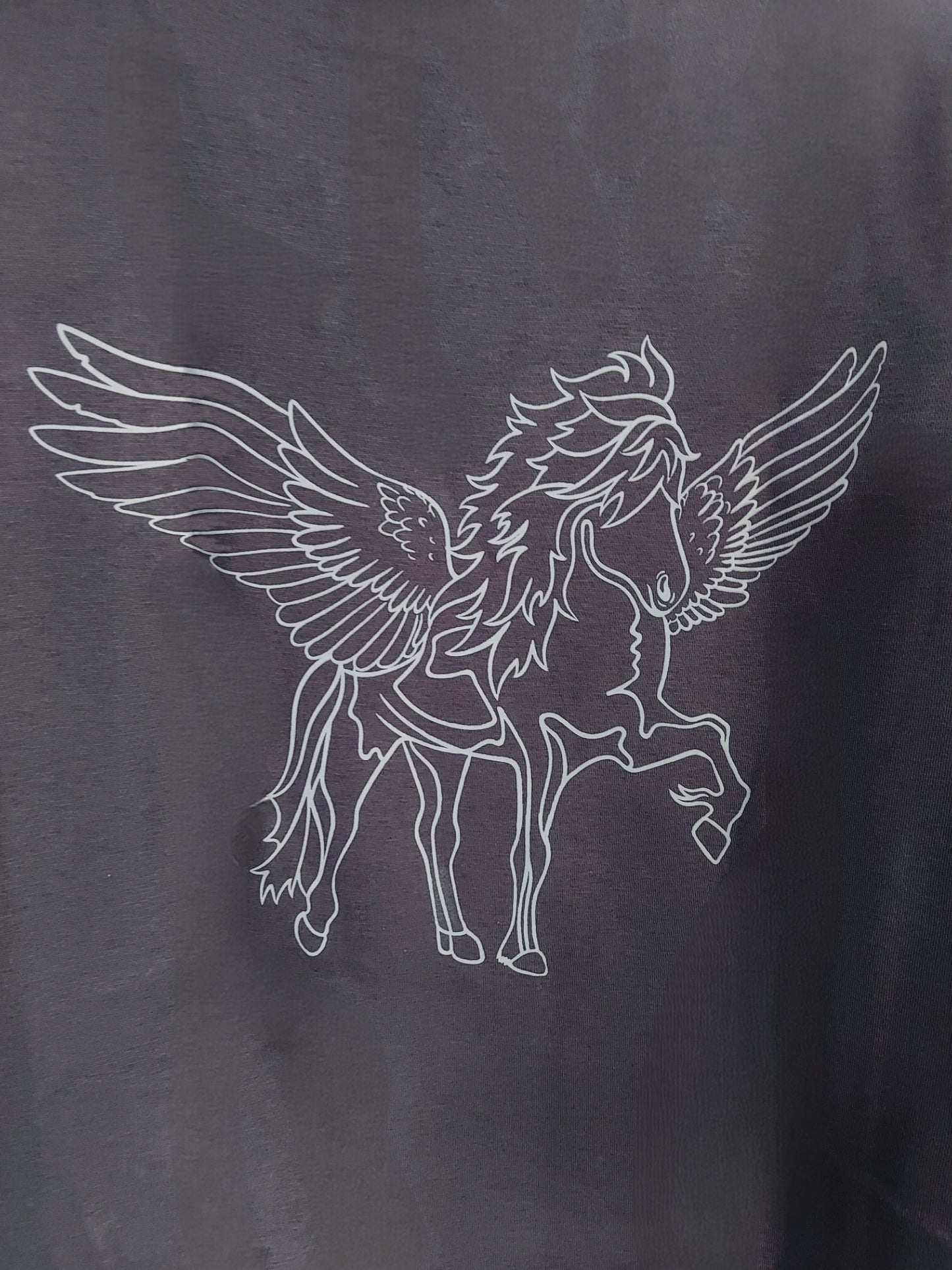 PEGASUS sweater by ÍsKnapar