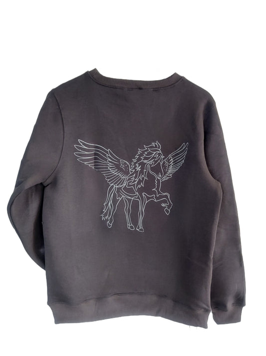 PEGASUS sweater by ÍsKnapar