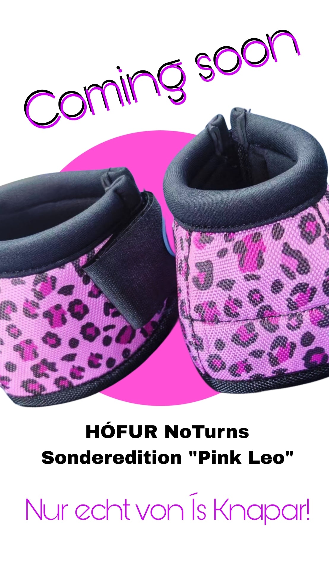 Hófur Special Edition Pink Leo