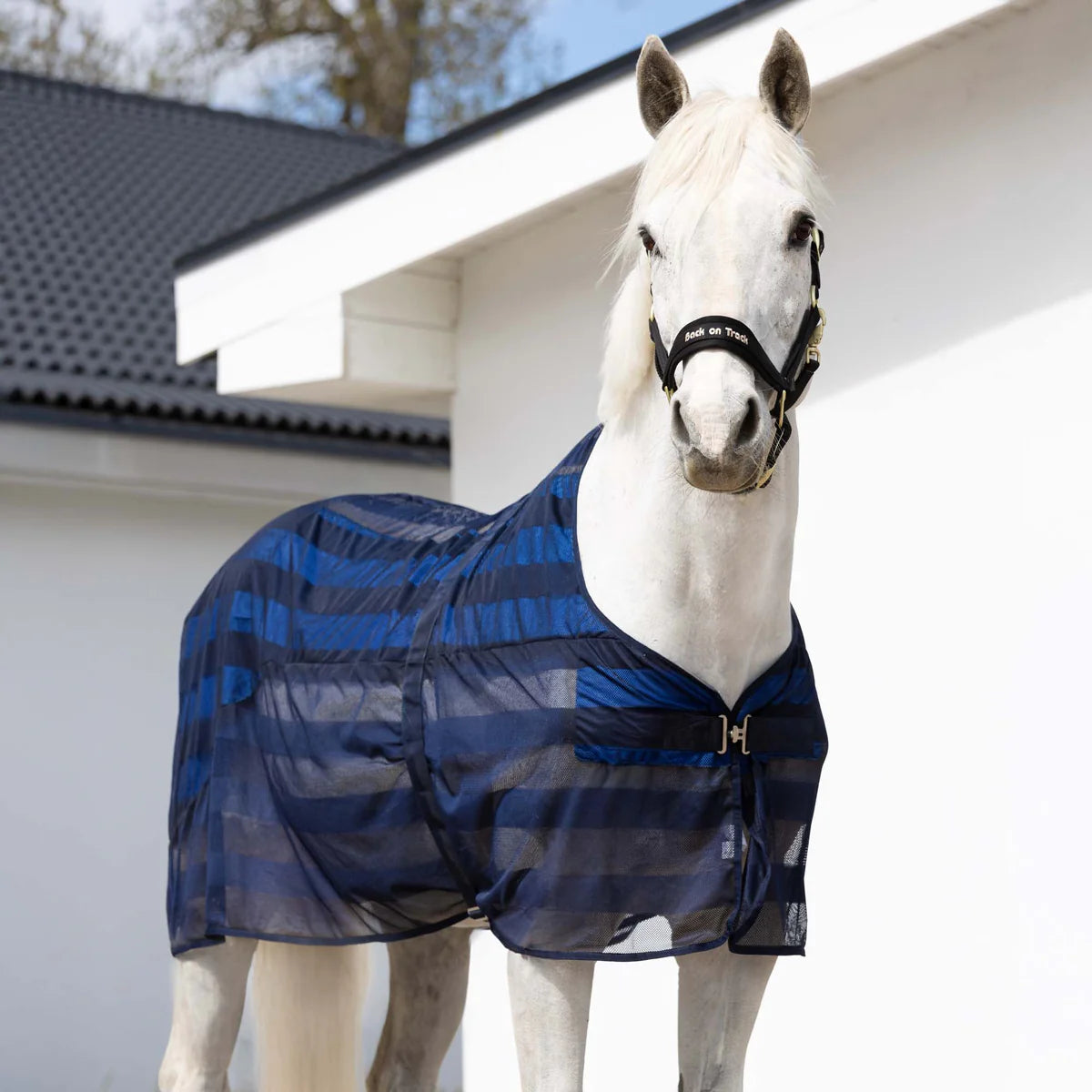 Back on Track - Cool on Track® Kühl-Pferdedecke