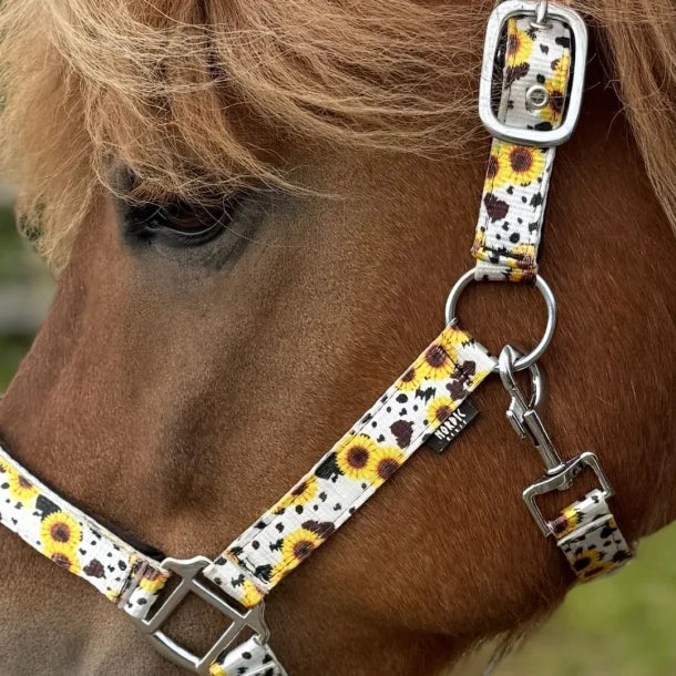 Gepolstertes Halfter mit Sonnenblumen von NORDIC HORSE