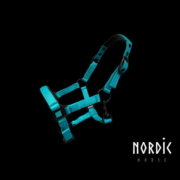 Fohlenhalfter Türkis von NORIC HORSE