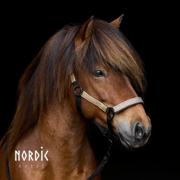 Glitzerhalfter von NORDIC HORSE