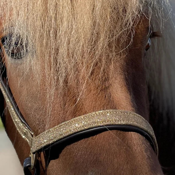 Black leather halter with silver buckles and glitter from NORDIC HORSE