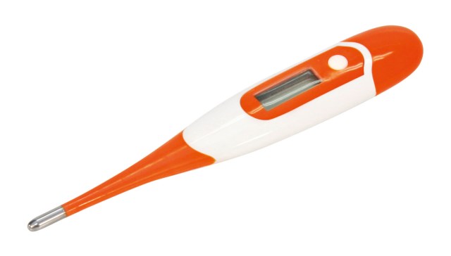 Digital Thermometer 