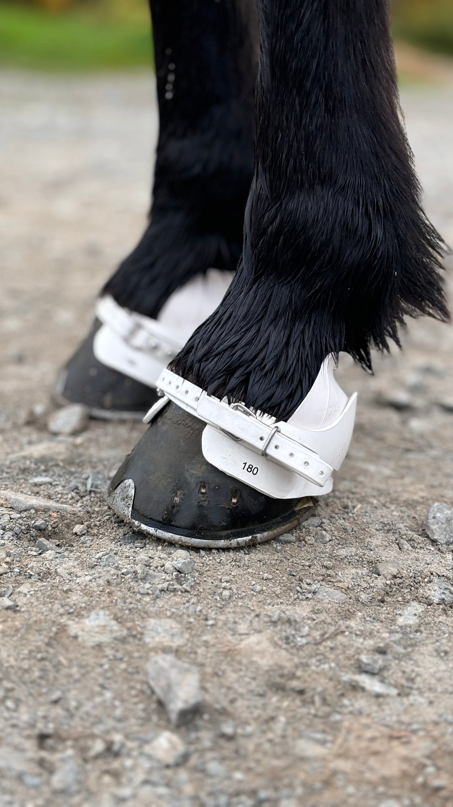 Super Boots von EQUES