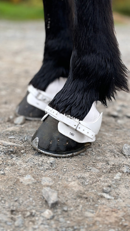 Super Boots von EQUES