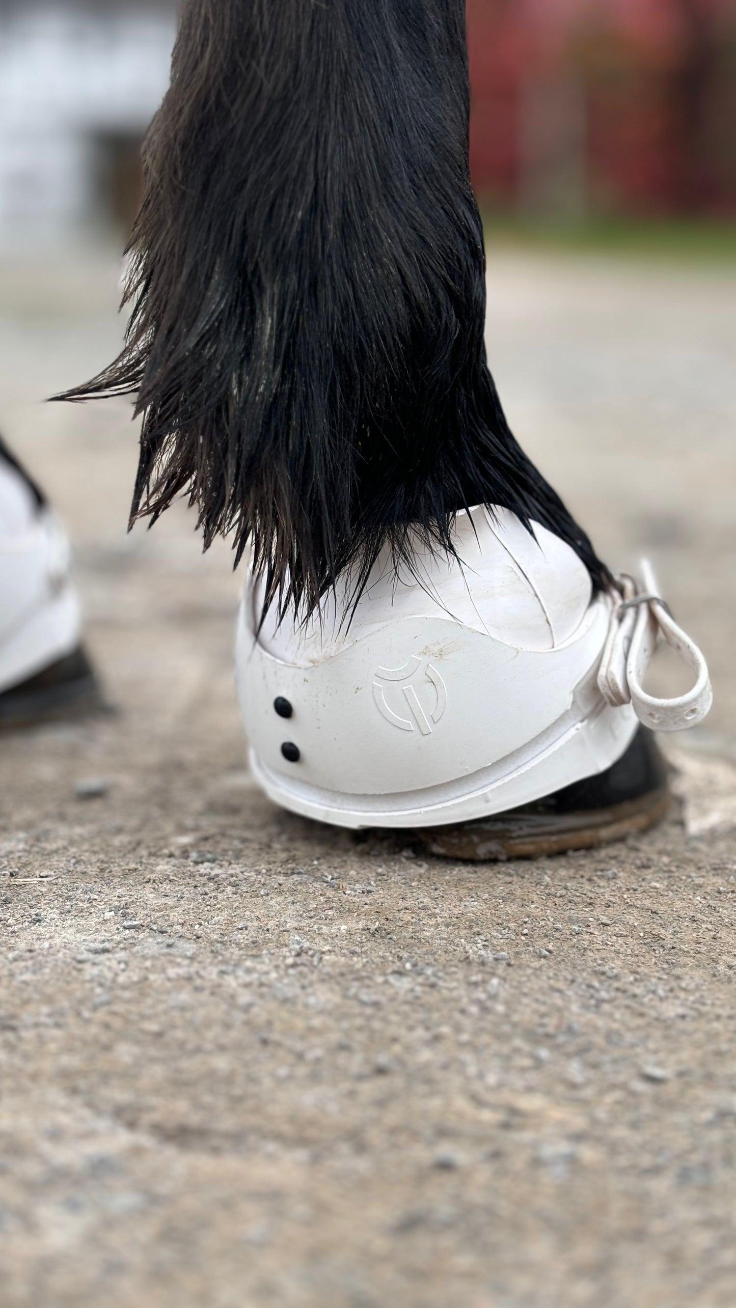 Super Boots von EQUES