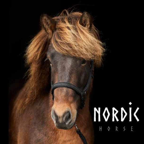 Black leather halter with silver buckles and glitter from NORDIC HORSE