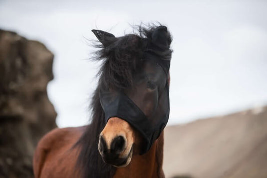 Fly mask "TOP RIDER"