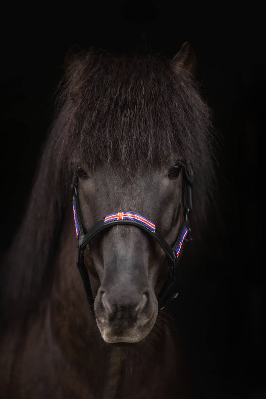 "ISLAND" Halfterset mit Strick, schwarz