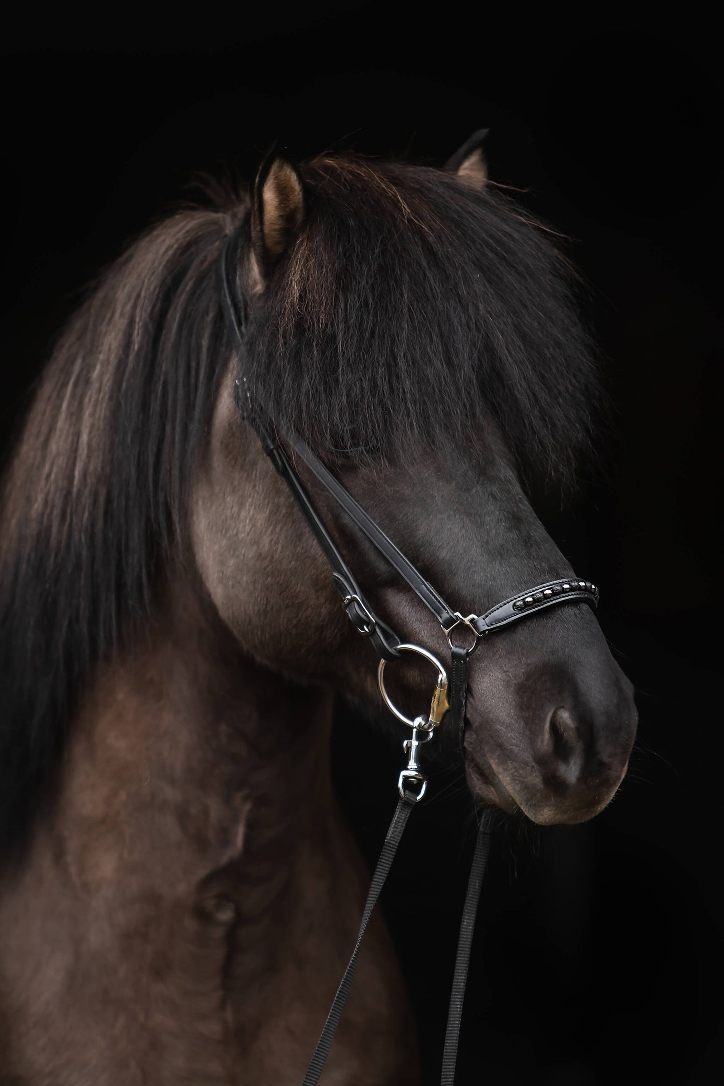 Noseband "KJARKUR" with lava beads and onyx stones by TOP REITER