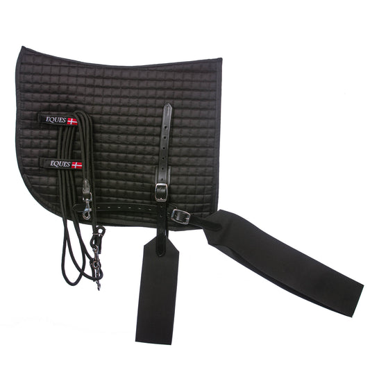 Core Trainer Lunging System from EQUES 