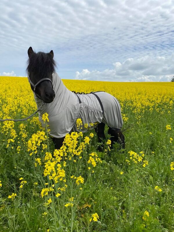 Ekzemdecke von EQUES