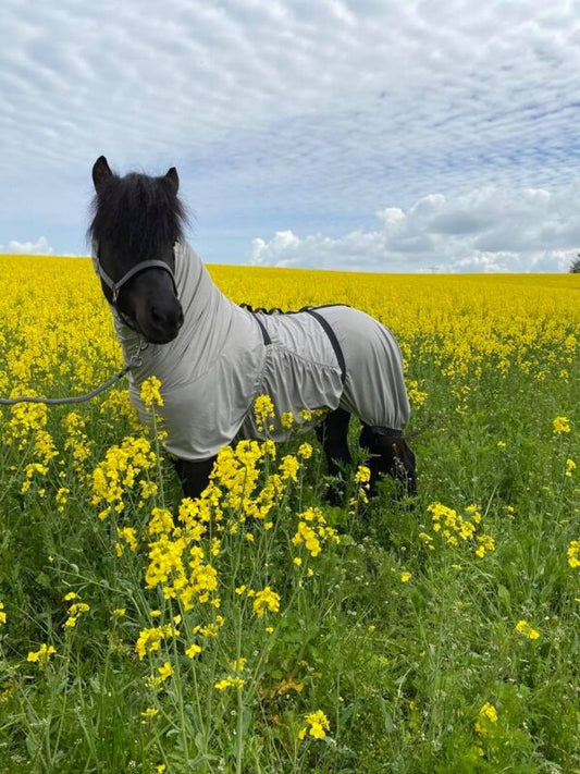 Ekzemdecke von EQUES